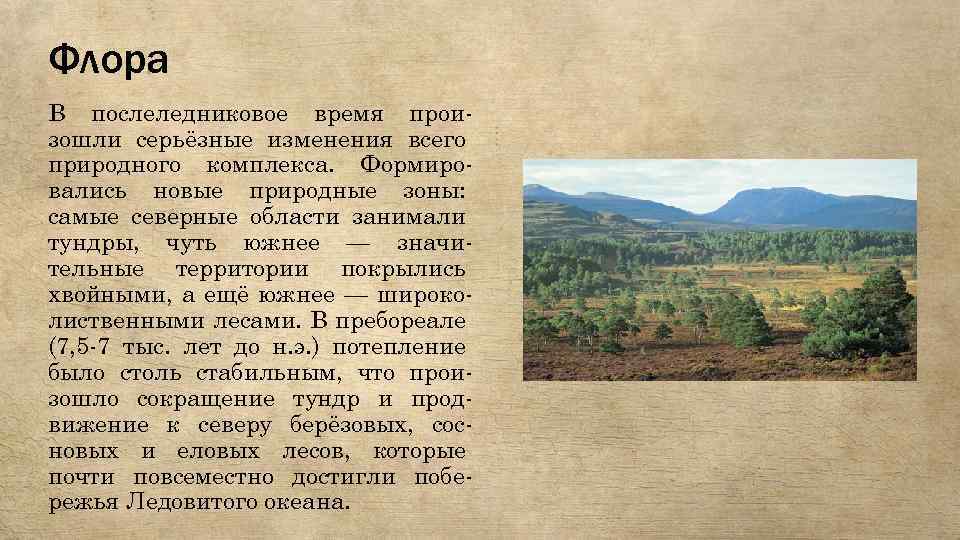 Флора В послеледниковое время произошли серьёзные изменения всего природного комплекса. Формировались новые природные зоны: