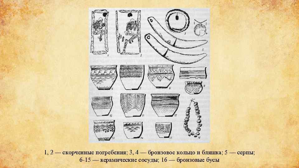 1, 2 — скорченные погребения; 3, 4 — бронзовое кольцо и бляшка; 5 —