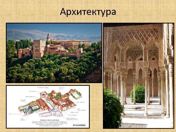 Архитектура 