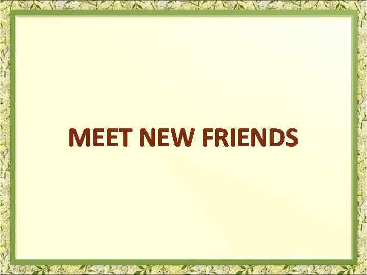 MEET NEW FRIENDS 