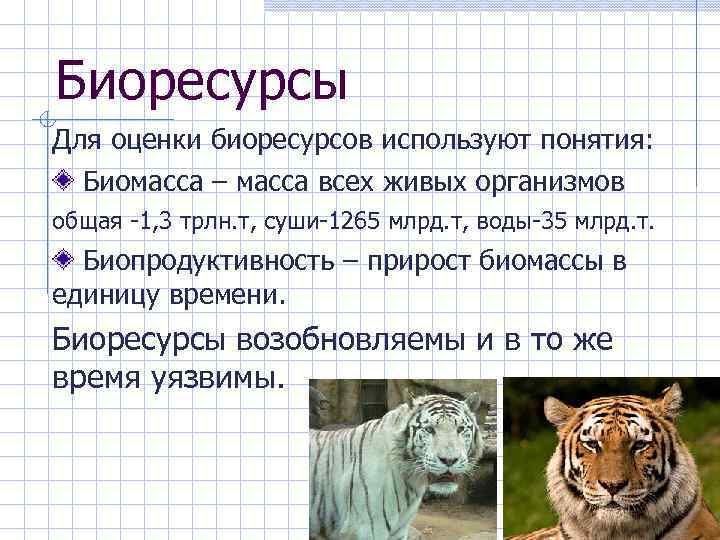 Биоресурсы Для оценки биоресурсов используют понятия: Биомасса – масса всех живых организмов общая -1,