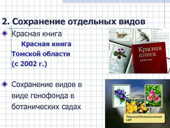 2. Сохранение отдельных видов Красная книга Томской области (с 2002 г. ) Сохранение видов