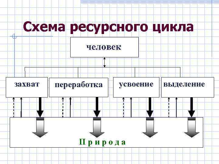 Схема ресурсного цикла человек захват переработка усвоение Природа выделение 