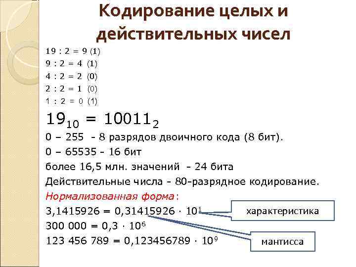 Кодирование целых и действительных чисел 19 : 2 = 9 (1) 9 : 2