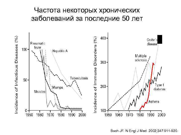 Частота некоторых хронических заболеваний за последние 50 лет Bach JF. N Engl J Med.