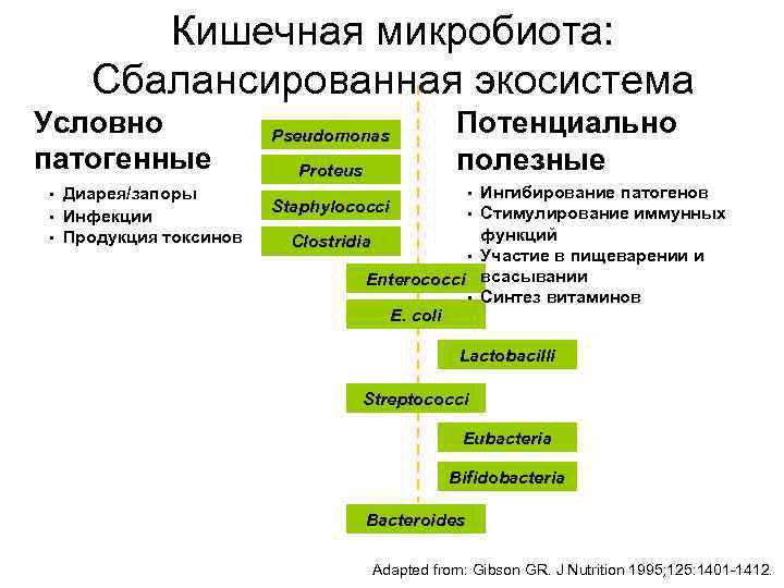Кишечная микробиота: Сбалансированная экосистема Условно патогенные • Диарея/запоры • Инфекции • Продукция токсинов Pseudomonas