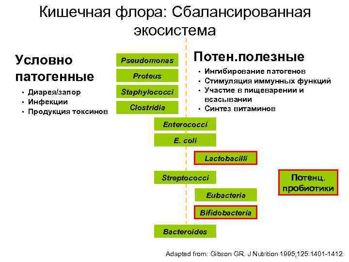 Кишечная флора: Сбалансированная экосистема Условно патогенные • Диарея/запор • Инфекции • Продукция токсинов Pseudomonas