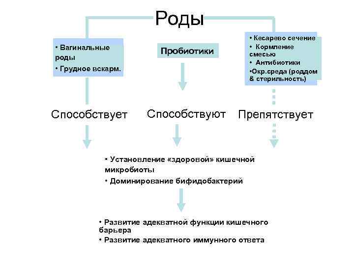 Роды • Вагинальные роды • Кесарево сечение • Кормление Пробиотики смесью • Антибиотики •