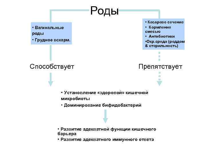 Роды • Кесарево сечение • Кормление • Вагинальные смесью • Антибиотики • Окр. среда
