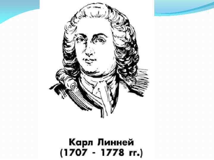 Портрет ученых биологии. Карл Линней портрет чб. Портрет Карла Линнея. Карл Линней портрет с подписью. Карл Линней черно белый.