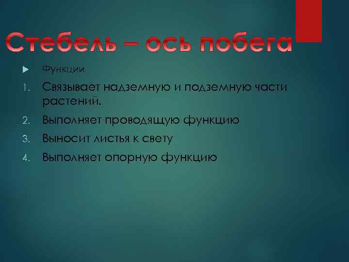  Функции 1. Связывает надземную и подземную части растений. 2. Выполняет проводящую функцию 3.