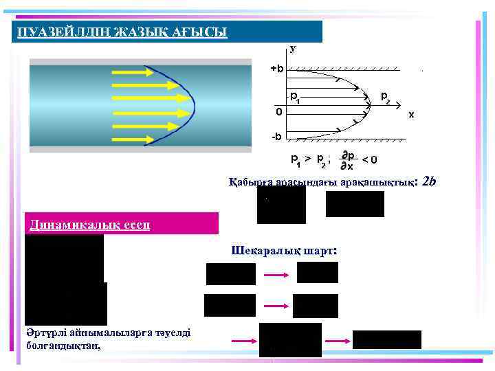 ПУАЗЕЙЛДІҢ ЖАЗЫҚ АҒЫСЫ y Қабырға арасындағы арақашықтық: Динамикалық есеп Шекаралық шарт: Әртүрлі айнымалыларға тәуелді