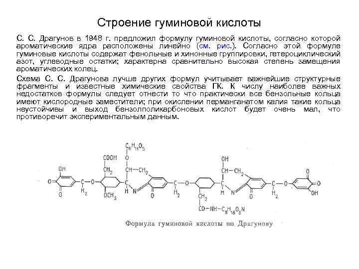 Строение гуминовой кислоты С. С. Драгунов в 1948 г. предложил формулу гуминовой кислоты, согласно