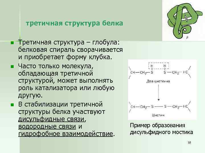 Третичные белки. Третичная структура белка глобула. Третичная структура белков гидрофобное ядро. Третичный белок структура глобула. Белки глобулярные вторичная спиралевидная структура.