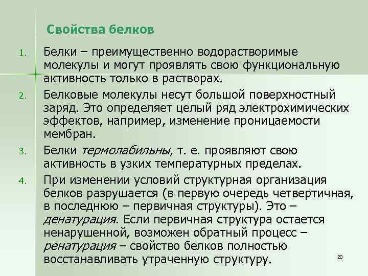 Свойства белков 1. 2. 3. 4. Белки – преимущественно водорастворимые молекулы и могут проявлять