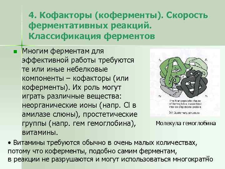 4. Кофакторы (коферменты). Скорость ферментативных реакций. Классификация ферментов n Многим ферментам для эффективной работы