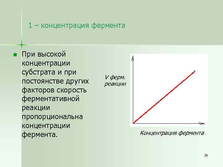 1 – концентрация фермента n При высокой концентрации субстрата и при постоянстве других факторов
