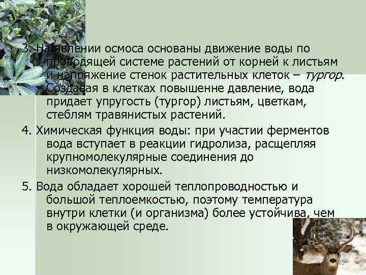 3. На явлении осмоса основаны движение воды по проводящей системе растений от корней к