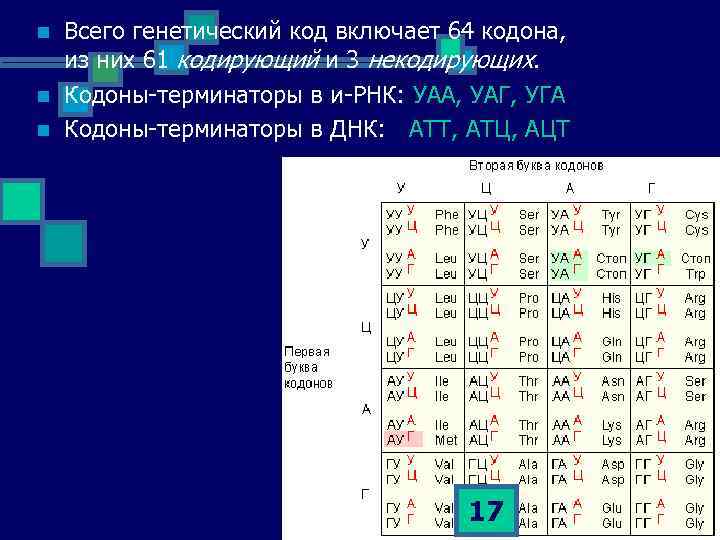 Какая рнк имеет кодон. Генетический код в кодонах РНК. Генетический код 64 кодона. Кодон это в генетике. Стоп кодоны РНК.