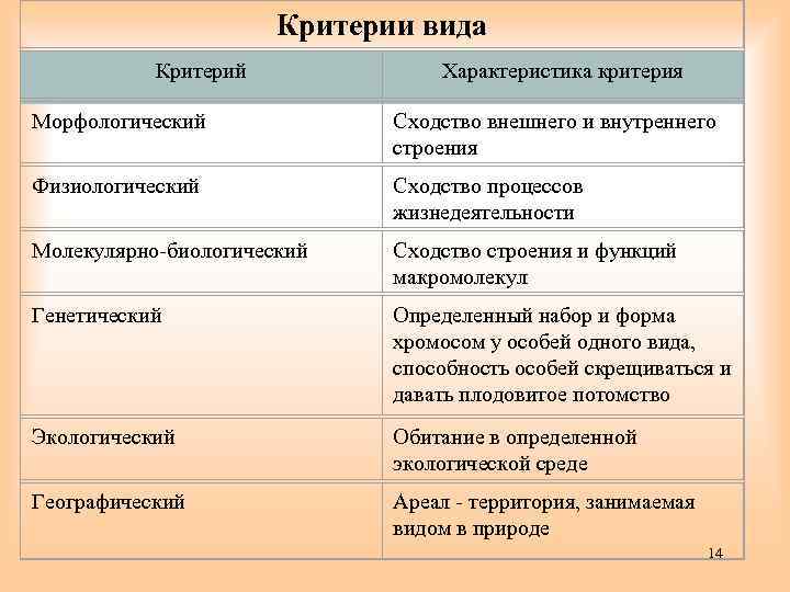 Морфологическое сходство животных