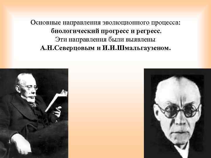 Основные направления эволюционного процесса: биологический прогресс и регресс. Эти направления были выявлены А. Н.