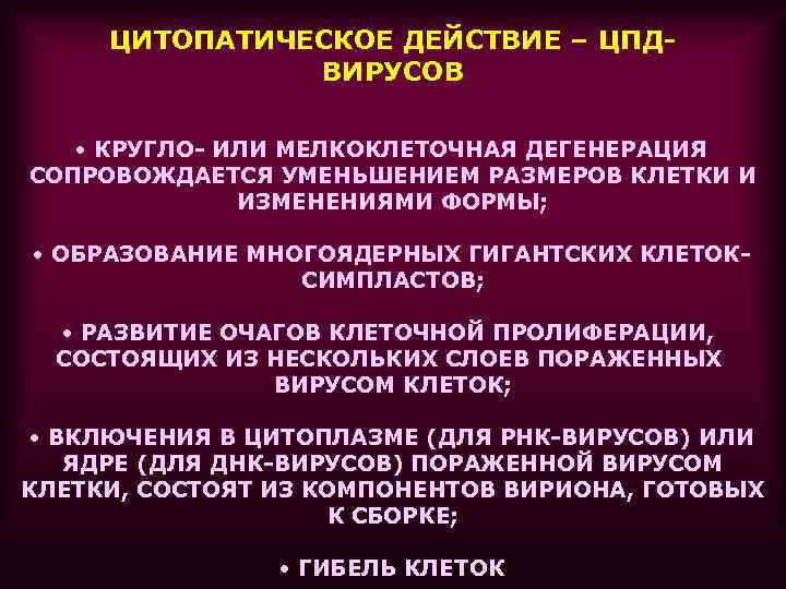 ЦИТОПАТИЧЕСКОЕ ДЕЙСТВИЕ – ЦПДВИРУСОВ • КРУГЛО- ИЛИ МЕЛКОКЛЕТОЧНАЯ ДЕГЕНЕРАЦИЯ СОПРОВОЖДАЕТСЯ УМЕНЬШЕНИЕМ РАЗМЕРОВ КЛЕТКИ И