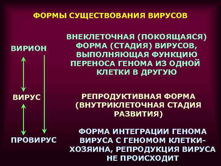 ФОРМЫ СУЩЕСТВОВАНИЯ ВИРУСОВ ВИРИОН ВИРУС ПРОВИРУС ВНЕКЛЕТОЧНАЯ (ПОКОЯЩАЯСЯ) ФОРМА (СТАДИЯ) ВИРУСОВ, ВЫПОЛНЯЮЩАЯ ФУНКЦИЮ ПЕРЕНОСА