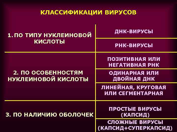 КЛАССИФИКАЦИИ ВИРУСОВ 1. ПО ТИПУ НУКЛЕИНОВОЙ КИСЛОТЫ ДНК-ВИРУСЫ РНК-ВИРУСЫ ПОЗИТИВНАЯ ИЛИ НЕГАТИВНАЯ РНК 2.