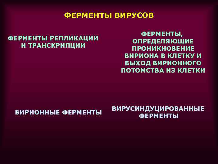 ФЕРМЕНТЫ ВИРУСОВ ФЕРМЕНТЫ РЕПЛИКАЦИИ И ТРАНСКРИПЦИИ ВИРИОННЫЕ ФЕРМЕНТЫ, ОПРЕДЕЛЯЮЩИЕ ПРОНИКНОВЕНИЕ ВИРИОНА В КЛЕТКУ И