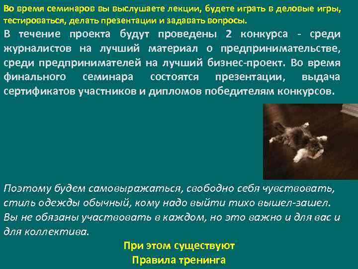 Во время семинаров вы выслушаете лекции, будете играть в деловые игры, тестироваться, делать презентации