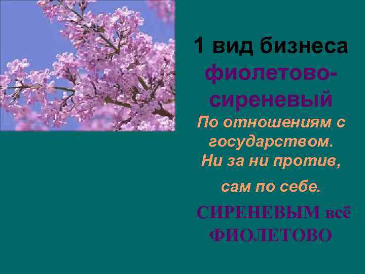 1 вид бизнеса фиолетовосиреневый По отношениям с государством. Ни за ни против, сам по