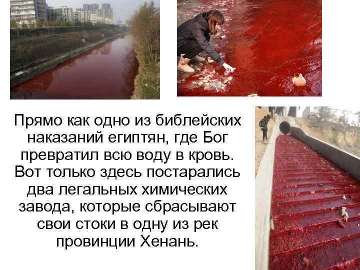 Прямо как одно из библейских наказаний египтян, где Бог превратил всю воду в кровь.