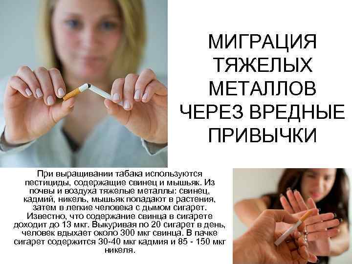 МИГРАЦИЯ ТЯЖЕЛЫХ МЕТАЛЛОВ ЧЕРЕЗ ВРЕДНЫЕ ПРИВЫЧКИ При выращивании табака используются пестициды, содержащие свинец и