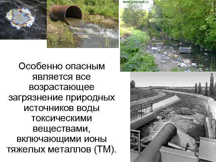 Особенно опасным является все возрастающее загрязнение природных источников воды токсическими веществами, включающими ионы тяжелых