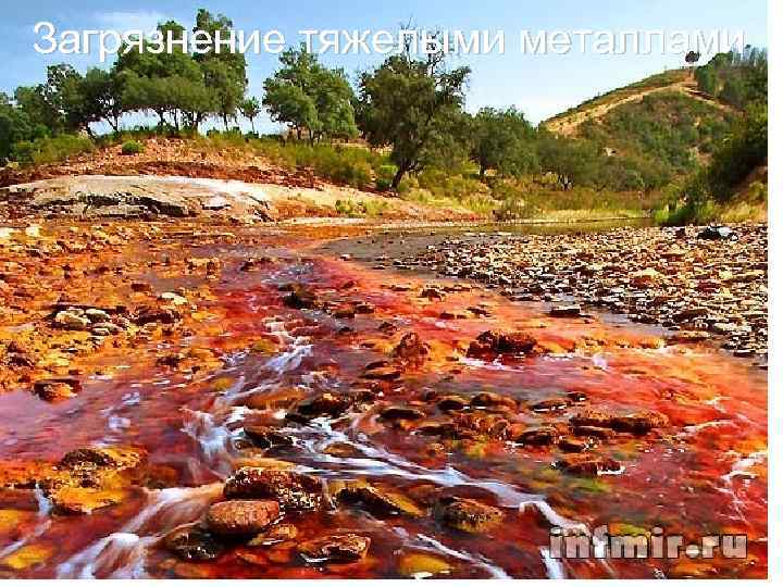 Загрязнение тяжелыми металлами 