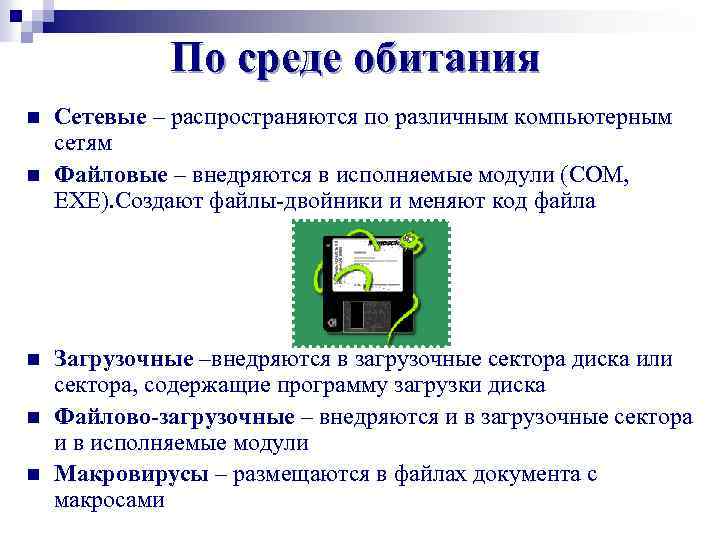 По среде обитания n n n Сетевые – распространяются по различным компьютерным сетям Файловые