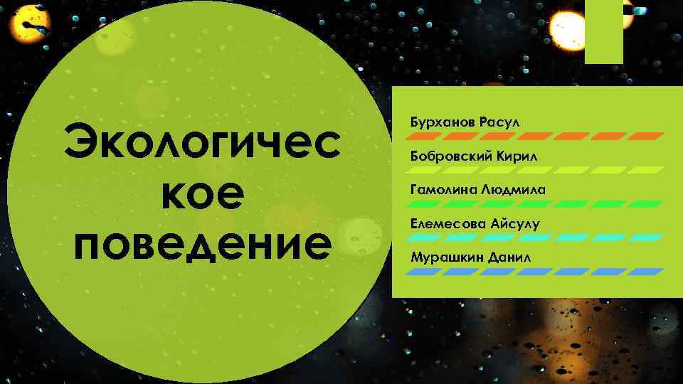 Экологичес кое поведение Бурханов Расул Бобровский Кирил Гамолина Людмила Елемесова Айсулу Мурашкин Данил 