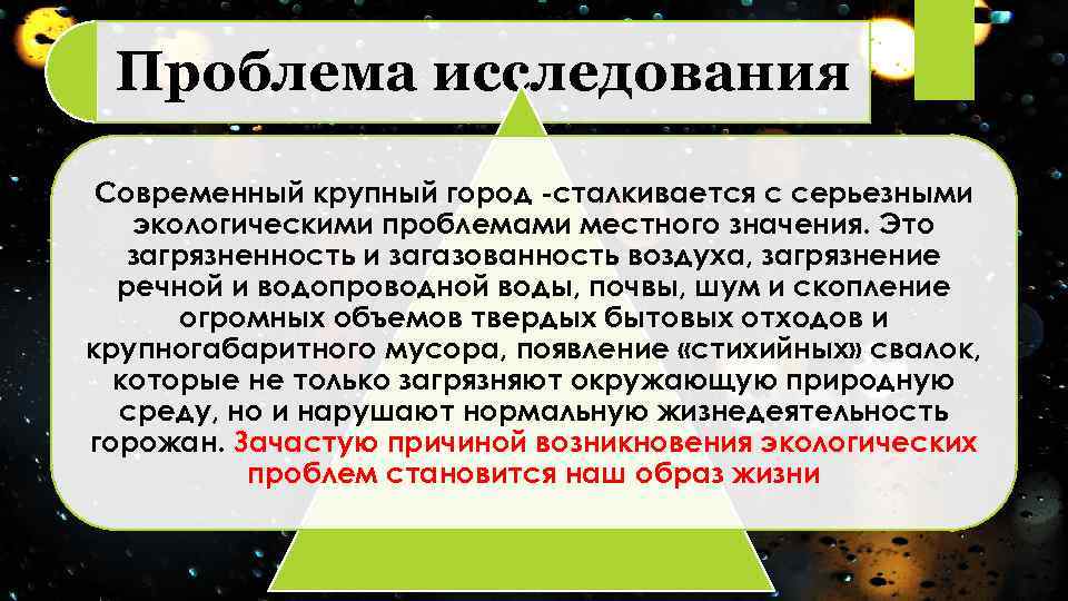 Проблема исследования Современный крупный город -сталкивается с серьезными экологическими проблемами местного значения. Это загрязненность