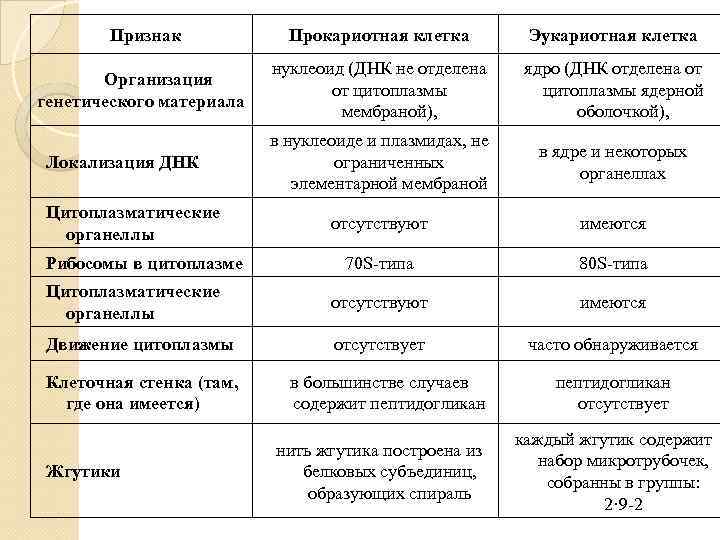 Признак Прокариотная клетка Эукариотная клетка Организация генетического материала нуклеоид (ДНК не отделена от цитоплазмы