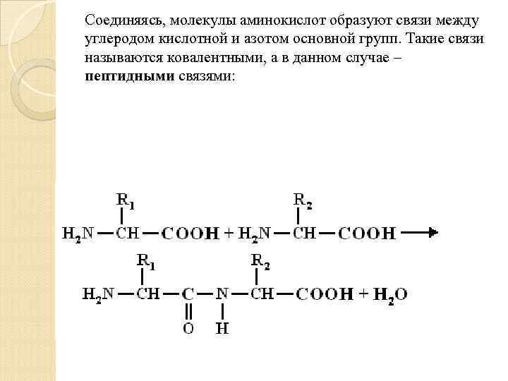 Соединяясь, молекулы аминокислот образуют связи между углеродом кислотной и азотом основной групп. Такие связи