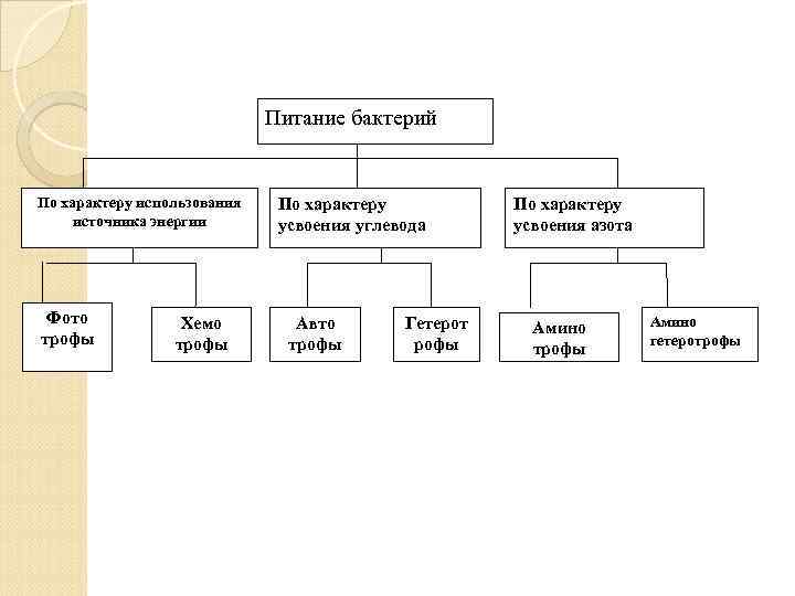 Питание бактерий По характеру использования источника энергии Фото трофы Xемо трофы По характеру усвоения