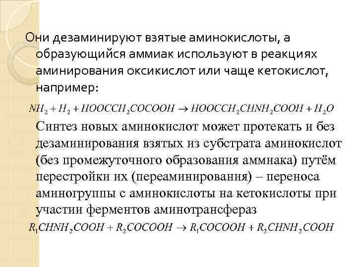 Они дезаминируют взятые аминокислоты, а образующийся аммиак используют в реакциях аминирования оксикислот или чаще