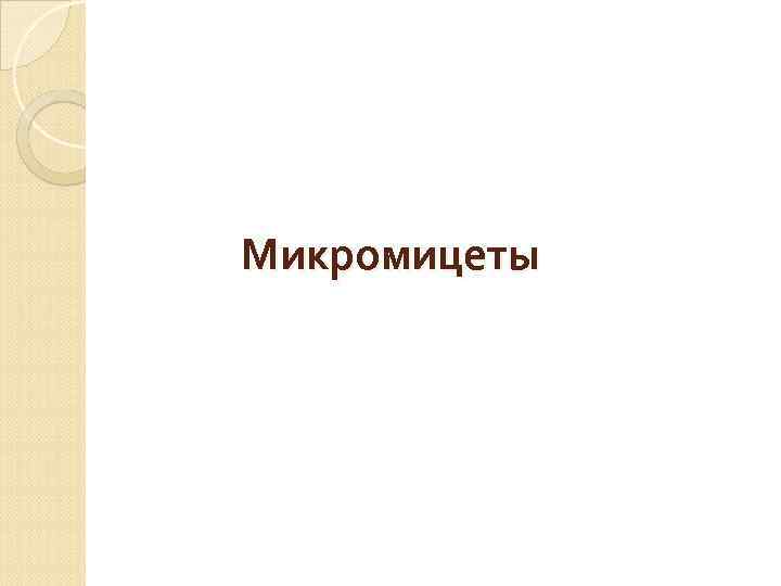 Микромицеты 