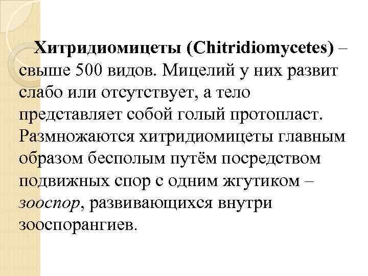 Хитридиомицеты (Chitridiomycetes) – свыше 500 видов. Мицелий у них развит слабо или отсутствует, а