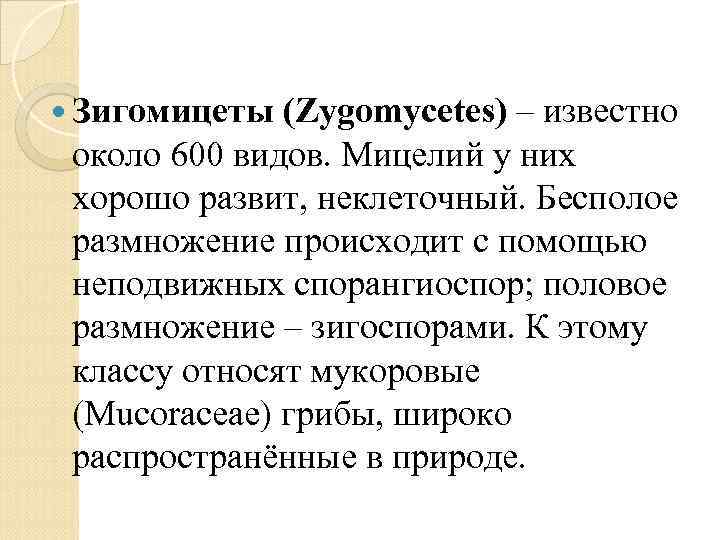  Зигомицеты (Zygomycetes) – известно около 600 видов. Мицелий у них хорошо развит, неклеточный.