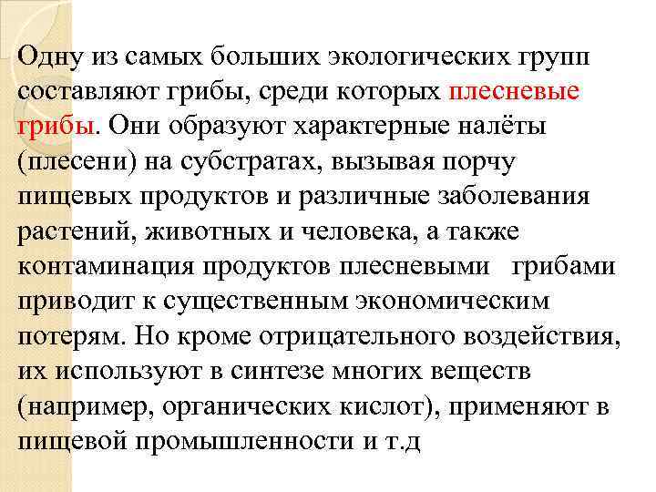 Одну из самых больших экологических групп составляют грибы, среди которых плесневые грибы. Они образуют