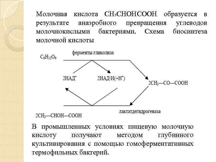 Молочная кислота группа. Молочная кислота схема реакции. Схема получения молочной кислоты. Образуется молочная кислота.