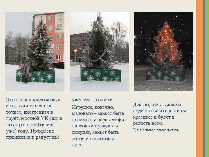 Это наша «придомовая» ёлка, установленная, точнее, внедренная в грунт, местной УК еще в позапрошлом