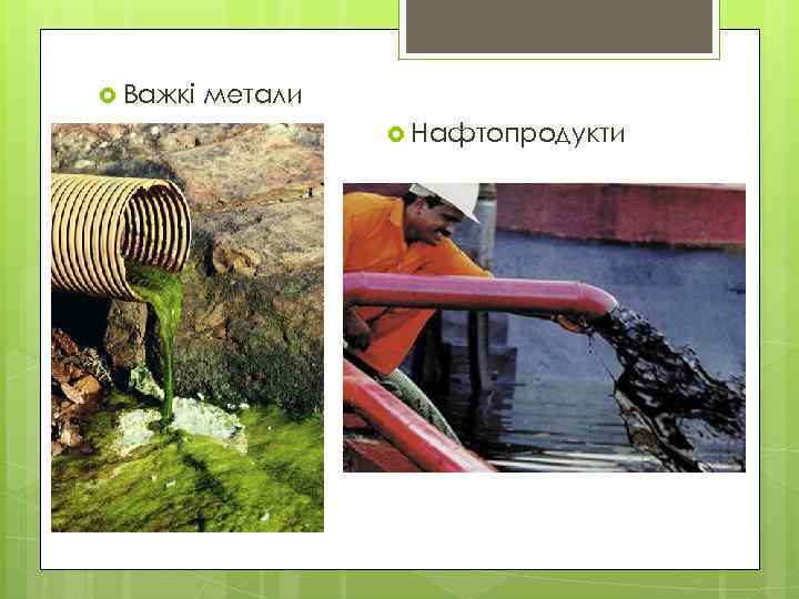  Важкі метали Нафтопродукти 