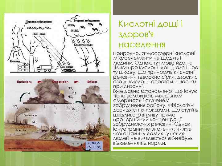 Кислотні дощі і здоров'я населення Природно, атмосферні кислотні мікроелементи не щадять і людини. Однак,